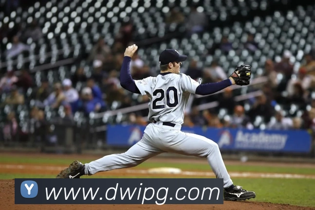 pg模拟器全站App